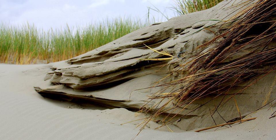 Dune Bep سخيرمونيكوخ المظهر الخارجي الصورة